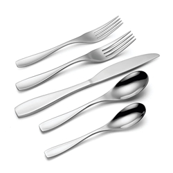 Oneida Calm 5 piece Place Setting 